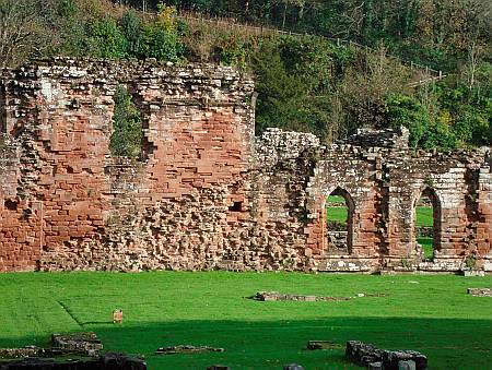 Furness Priory - Detail of Ancient Wall